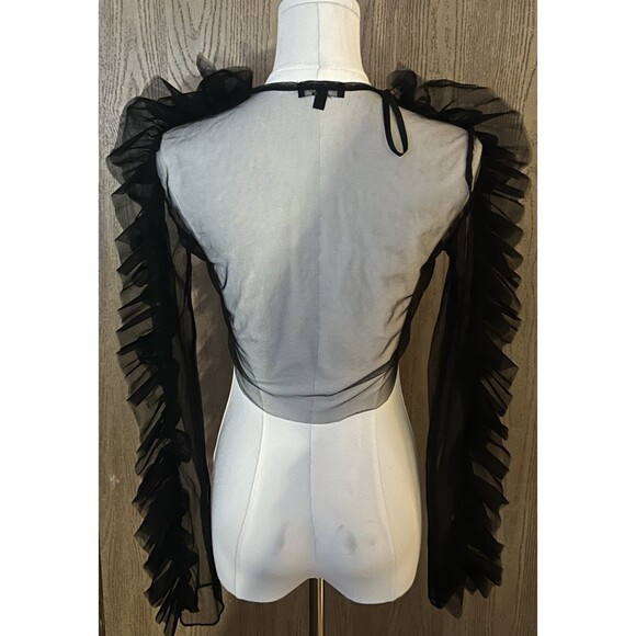Black Sheer Mesh Long Sleeve Tie Front Crop Top - Picture 3 of 5